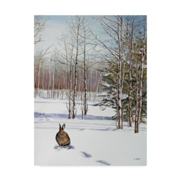 Trademark Fine Art Carol J Rupp 'Winter Rabbit' Canvas Art, 18x24 ALI39924-C1824GG